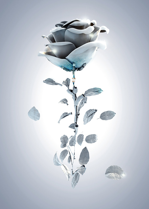 Frost Book Cover Rough